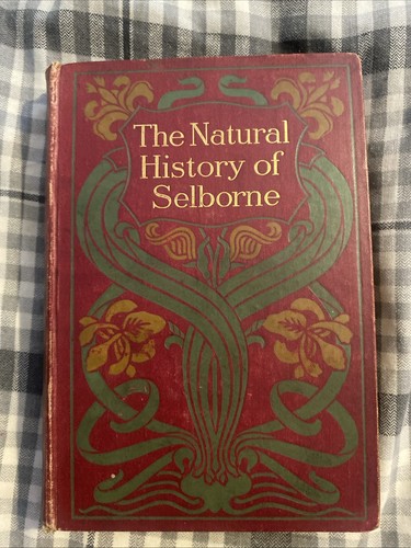 Rare antique 1895 the - rare, 1895:the