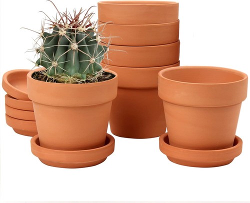 Oairse 6pcs terracotta - 6pcs, plant