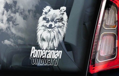 Pomeranian car sticker pom - car, sticker,