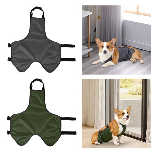 Dog belly wrap - dog,