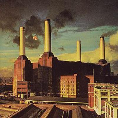 Pink floyd animals - pink,
