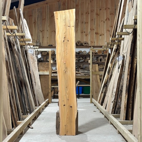 Cedar wood slab plank board - plank,