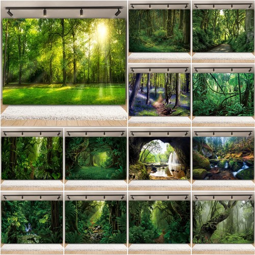 Forest path scene - forest,