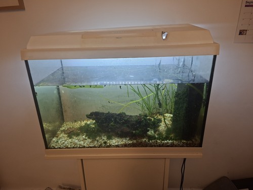 Juwel primo aquariums - juwel,