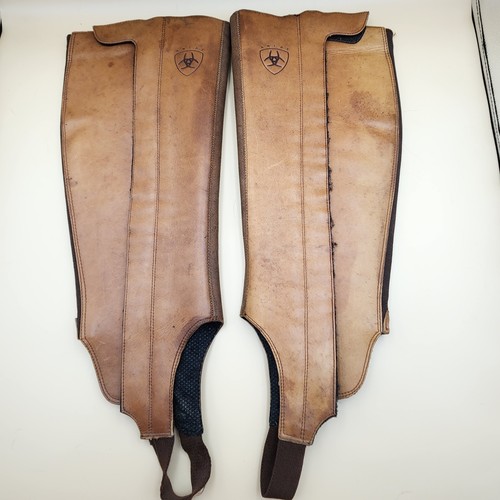 Ariat brown leather half chaps - leather,