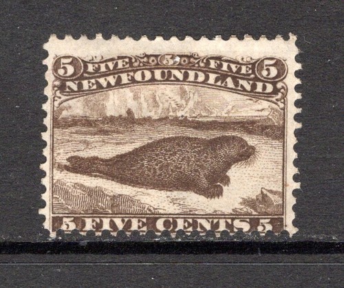 Newfoundland 1865 70 - ,