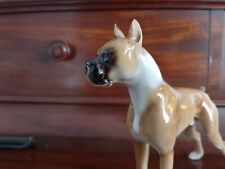 Hutschenreuther Germany Porcelain Figurine Boxer Dog Rare - White Neck Model