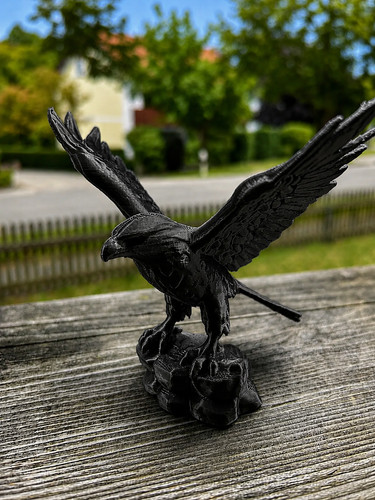 Majestic eagle rocky perch - majestic,