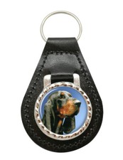Black and tan coonhound - black,