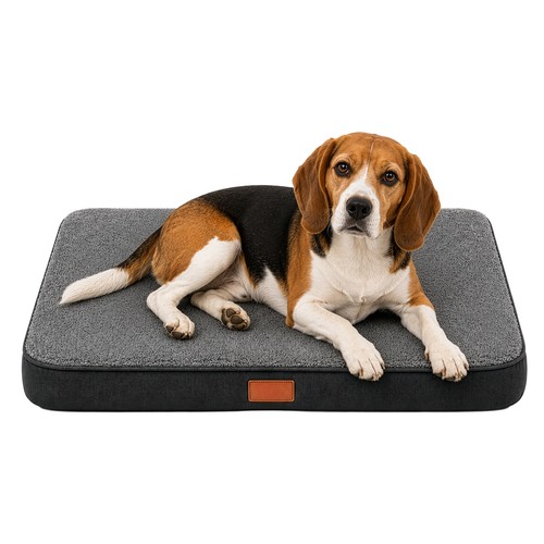 1pc orthopedic dog bed - dog,
