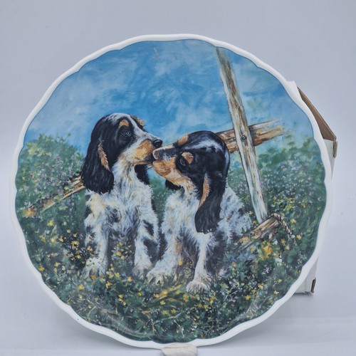 Royal albert bone china - royal,