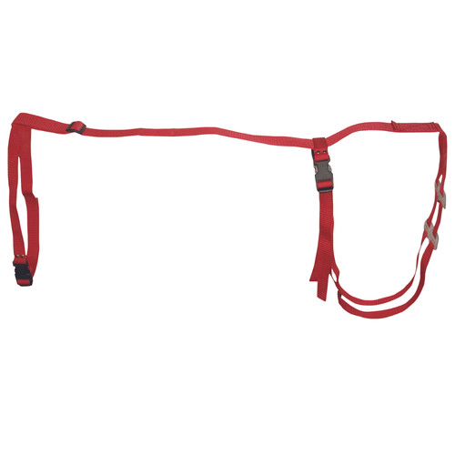 Ewe prolapse harness sheep - harness,