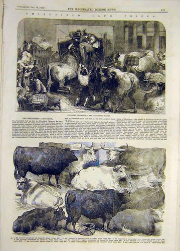 Original old antique - antique, print