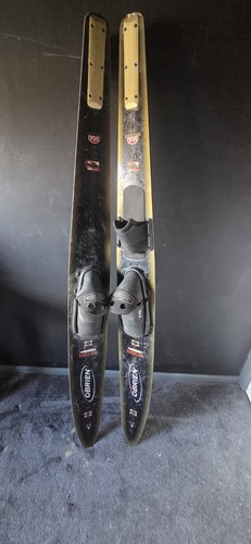 Vintage brien water skis - vintage,