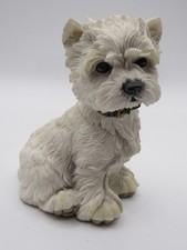 West highland westie puppy - west,