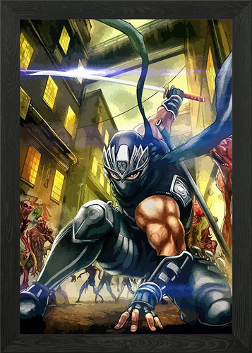 Ninja gaiden framed wall art - ninja,