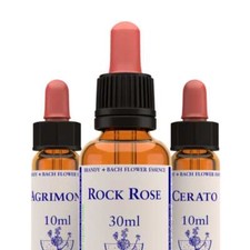 30 ml  Bach Flower Essences