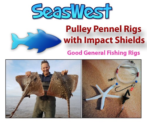 Pulley pennel rigs sea - pennel, x