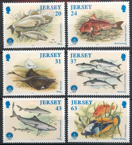 Jersey 1998 marine life iii - marine,