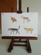 ORIGINAL WATERCOLOUR ON BOARD