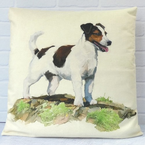 Jack russell terrier - russell, dog