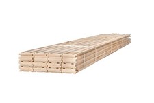 American white maple - american,