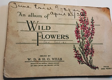 W.D & H.O. Wills Cigarette