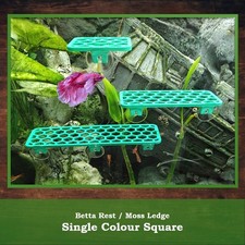 Aquarium Shelf Plant Ledge -