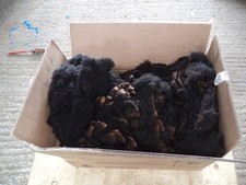 Sheep Fleece Whole Black Brown 3 KG + Raw Unwashed Wool Crafting home spinning