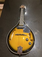 Mandolin. Electro Acoustic. 8