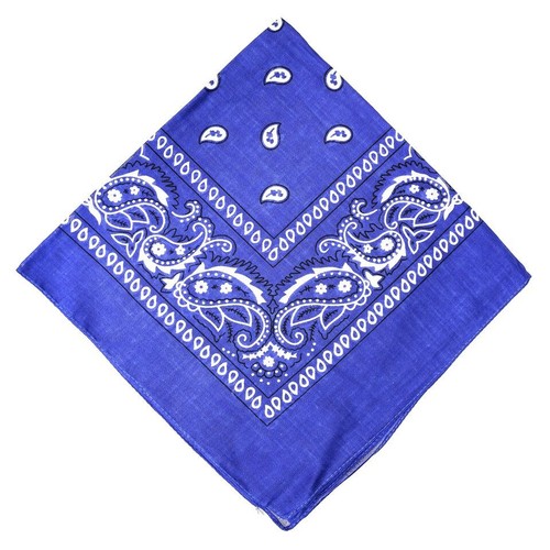 Extra large paisley - xl,