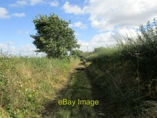 Track to Plots Farm Plots Farm