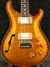 Paul Reed Smith (PRS) DGT Semi