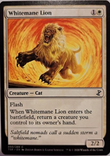 Whitemane lion time - lion,