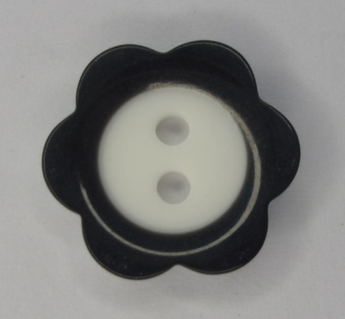 Coloured rim daisy flower - 10, x