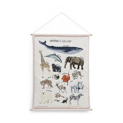 Mammal gallery wall hanging - gallery,