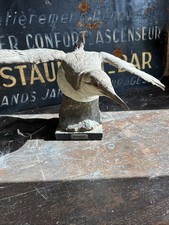 Antique Penguin Lacanau 1919