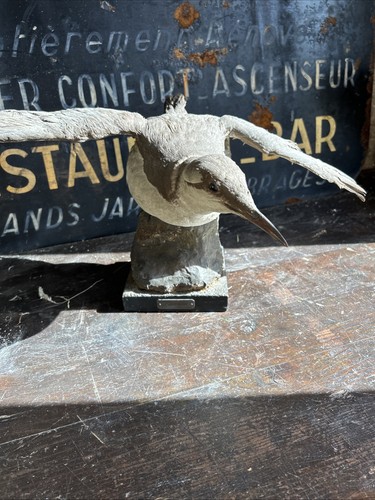 Antique penguin lacanau 1919 - antique,