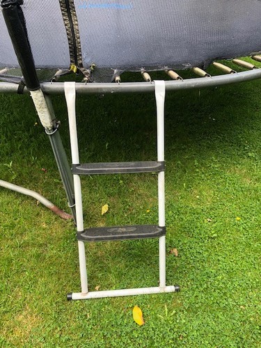 Trampoline ladder suitable for