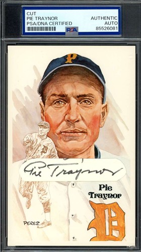 Pie traynor psa - traynor, dna