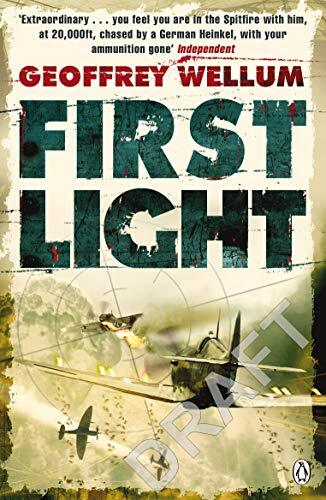 First light penguin - (penguin, world