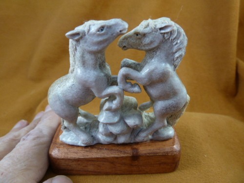 Wild horses rearing - (hor-w18),