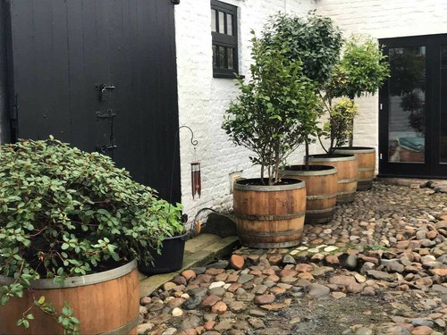 Large wine barrel - 4x,