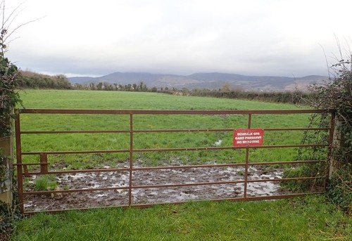 Photo 6x4 pasture land the - photo,
