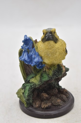 The country bird collection - bird,