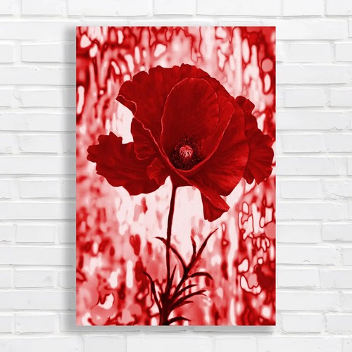 Vibrant red poppy canvas - vibrant,