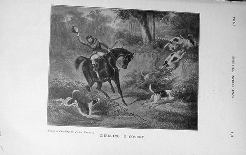 Original old vintage print - original,