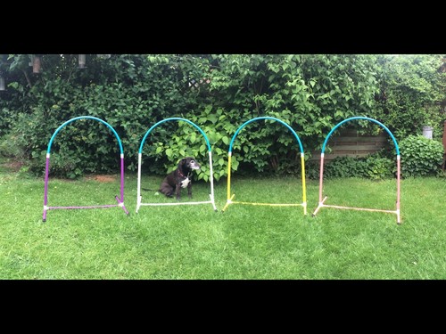 Jessejump hooper agility hoop - jessejump,