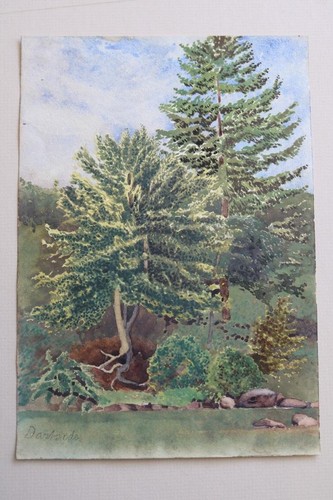 Antique watercolour dartside - antique,