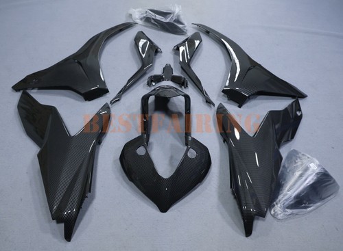 Carbon fiber fairing for - carbon,